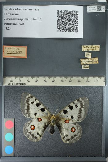 Media type: image;   Entomology 175458